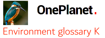 OnePlanet Environmental English logo